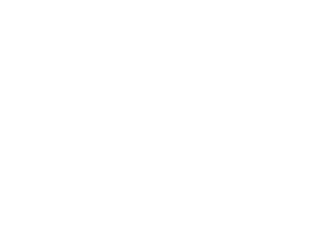 logo-mt